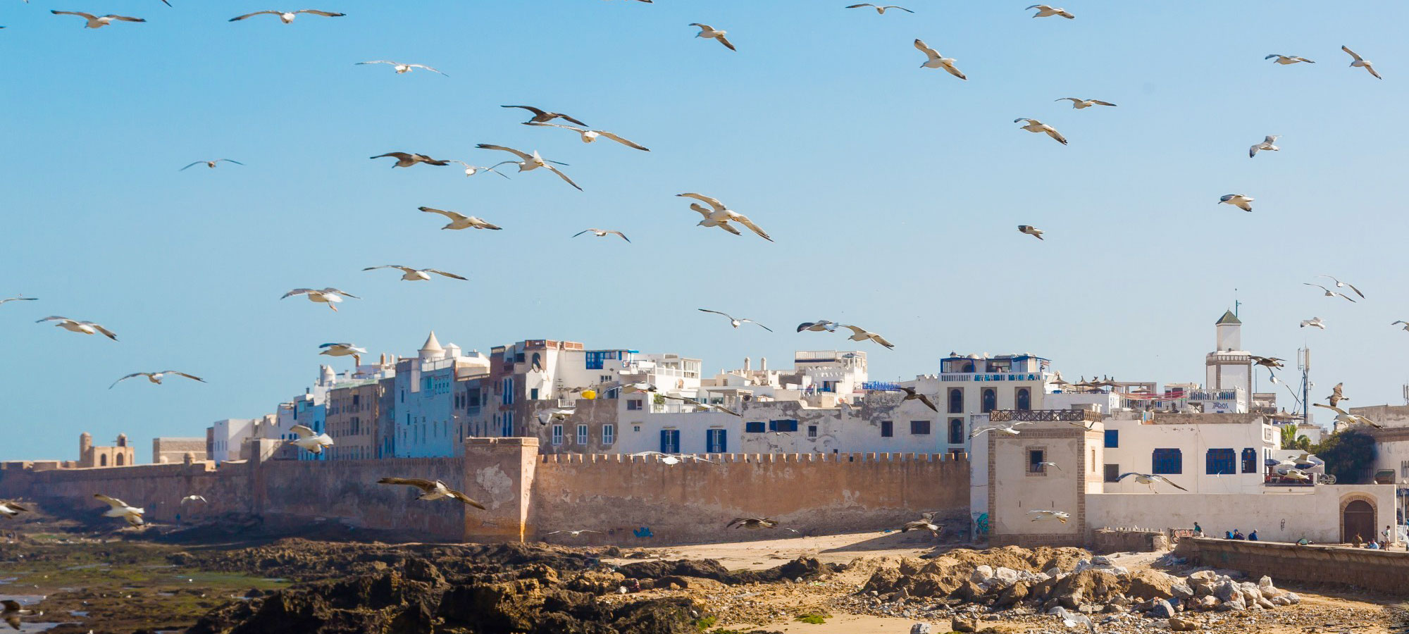 Day 11: Marrakech - Essaouira