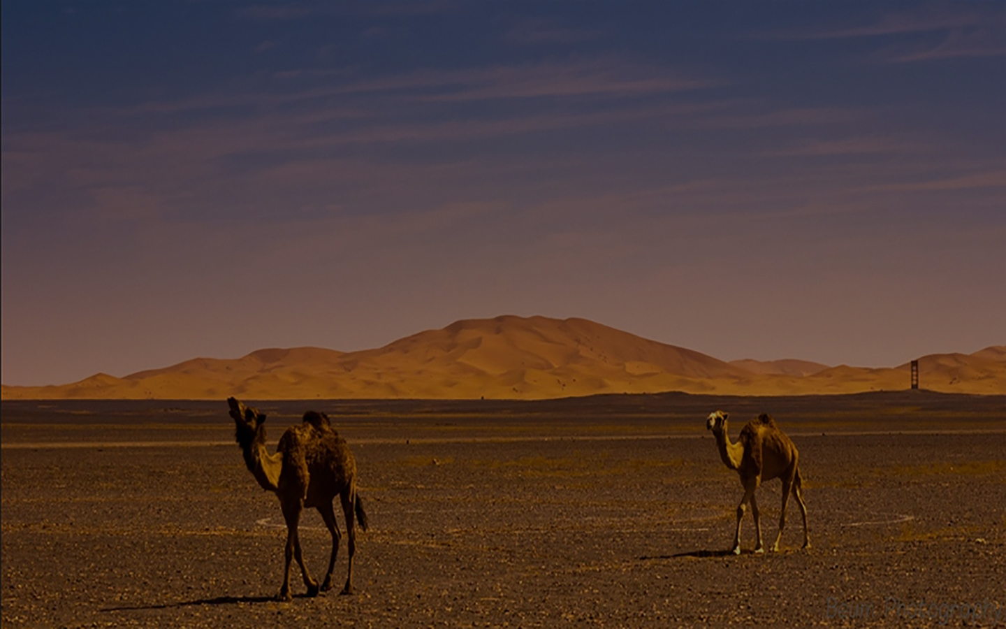 Tour and Excursion Ouarzazate Marrakech