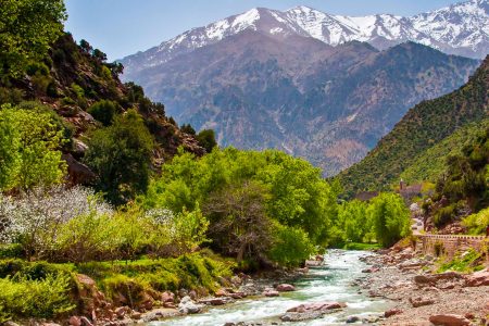 Beauty of the Ourika Valley with a tour Departing From Marrakech