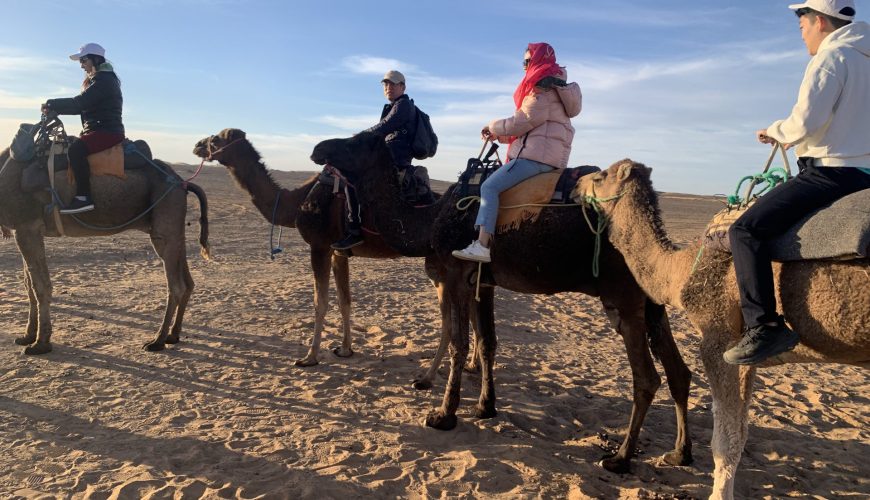 From Marrakech to the Sahara: Desert Tours That Go Beyond the Ordinary