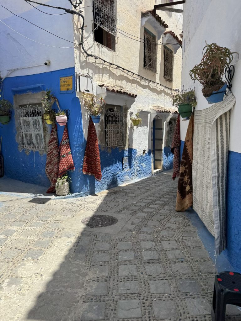 Marrakech Desert Tours: Your Gateway to Morocco's Magical Sahara