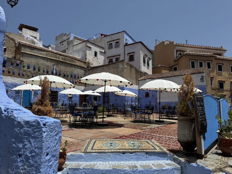 Best Desert & Cultural Tours from Casablanca – Travel Morocco in Style